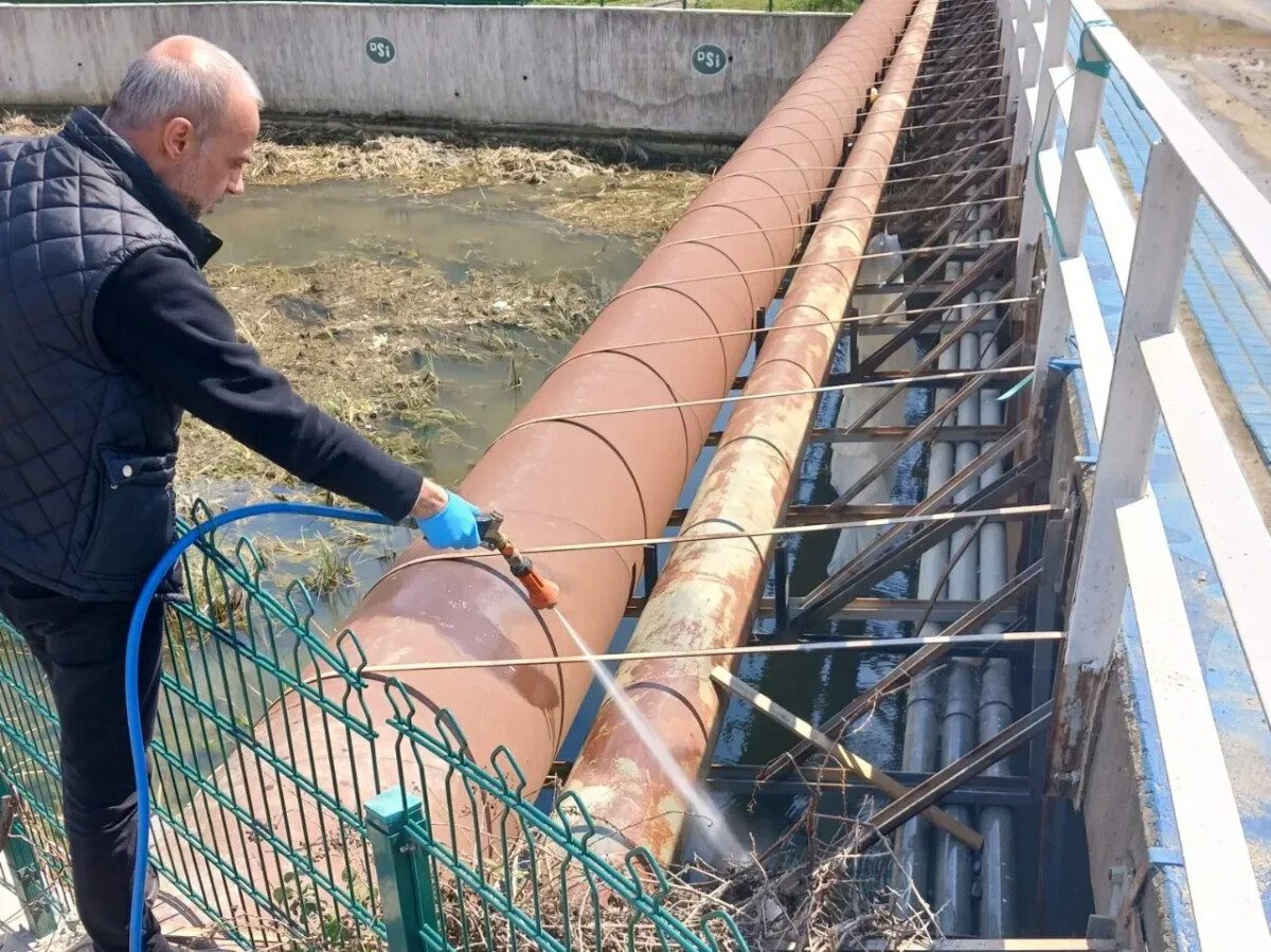 Süleymanpaşa Belediyesi sivrisinekle mücadeleye erken başladı