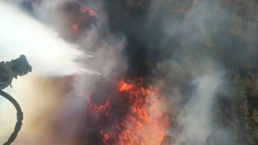Manisa Akhisar’da rüzgarın etkisiyle tekrar alevlenen orman yangınına havadan müdahale ediliyor (2025)