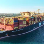 MSC Mariella ve MSC Rapallo gemilerine Asyaport Limanı’nda eş zamanlı operasyon – Temmuz 2025
