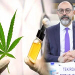 Eczanelerde satışa sunulacak tıbbi kenevir ürünleri, elektronik takip sistemleriyle denetlenecek.