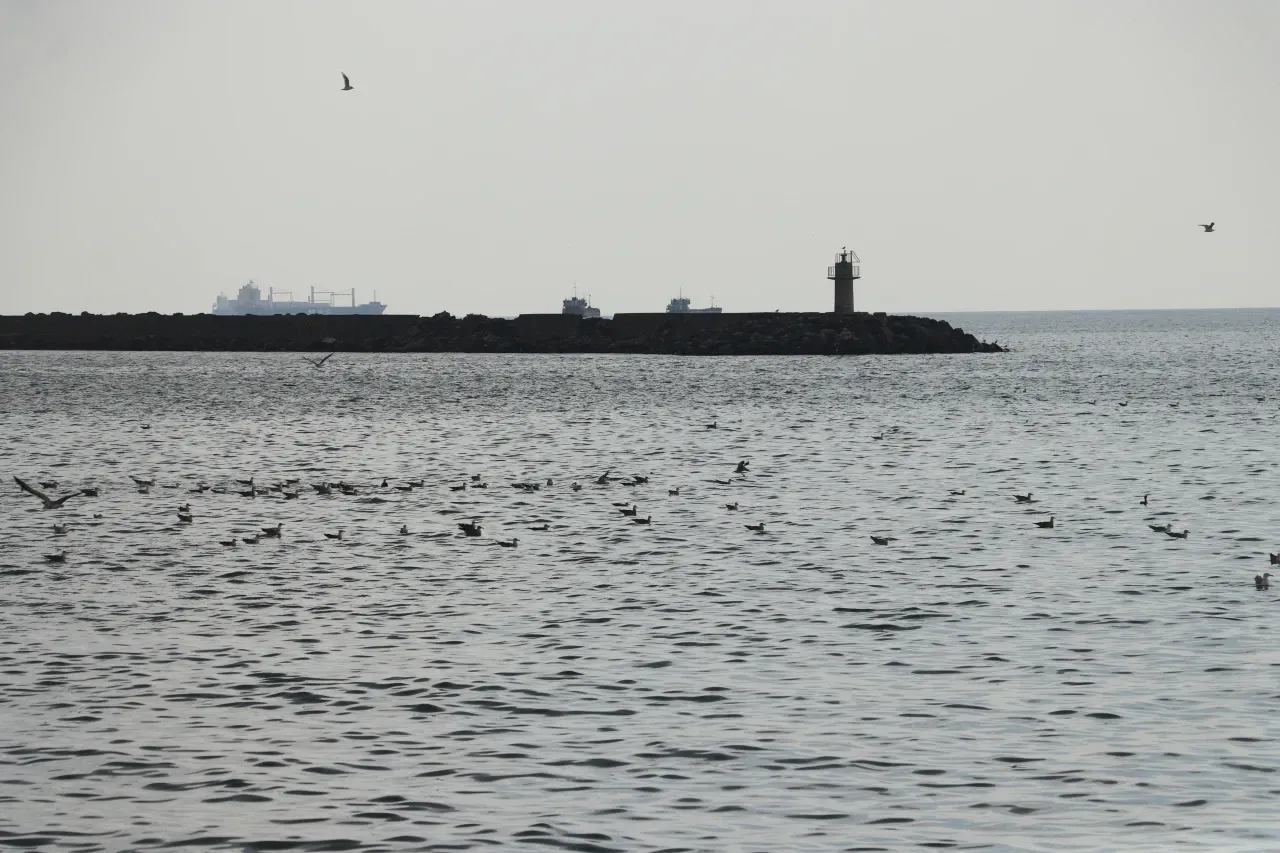Tekirdağ’da poyraz sonrası normale dönen deniz ulaşımı