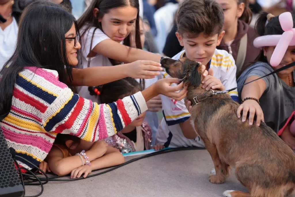Patifest, Çorlu’da hayvanseverleri bir araya getirdi 2 Çorlu Belediyesi tarafından düzenlenen Patifest etkinliğinde sahiplendirme etkinlikleri.