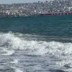 Tekirdağ Açıklarında 7 Şilep ve Tanker Bekliyor, Poyraz Balıkçılığı Vurdu