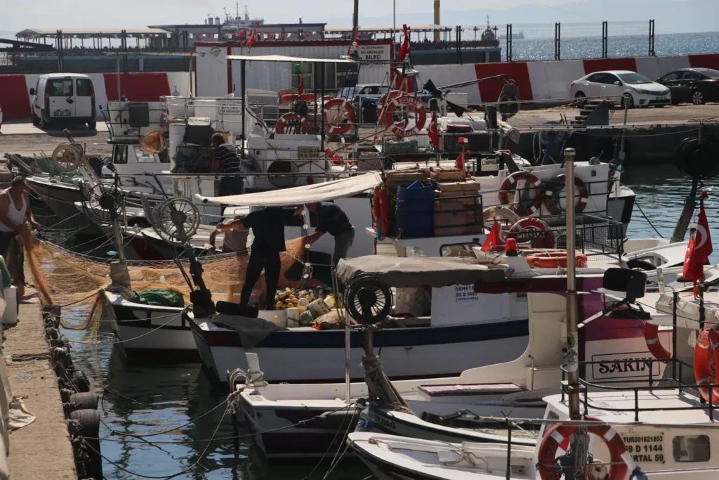 Poyrazın etkisiyle Tekirdağ'da deniz ılaşımında aksamalar yaşanıyor 1 Tekirdağ'da poyraz nedeniyle aksayan deniz ulaşımı.