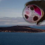 Google Haritalar’da gizlenen ada gerçekten tehlikeli mi?