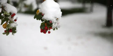 İstanbul’a kar yağacak mı? AKOM'dan açıklama geldi