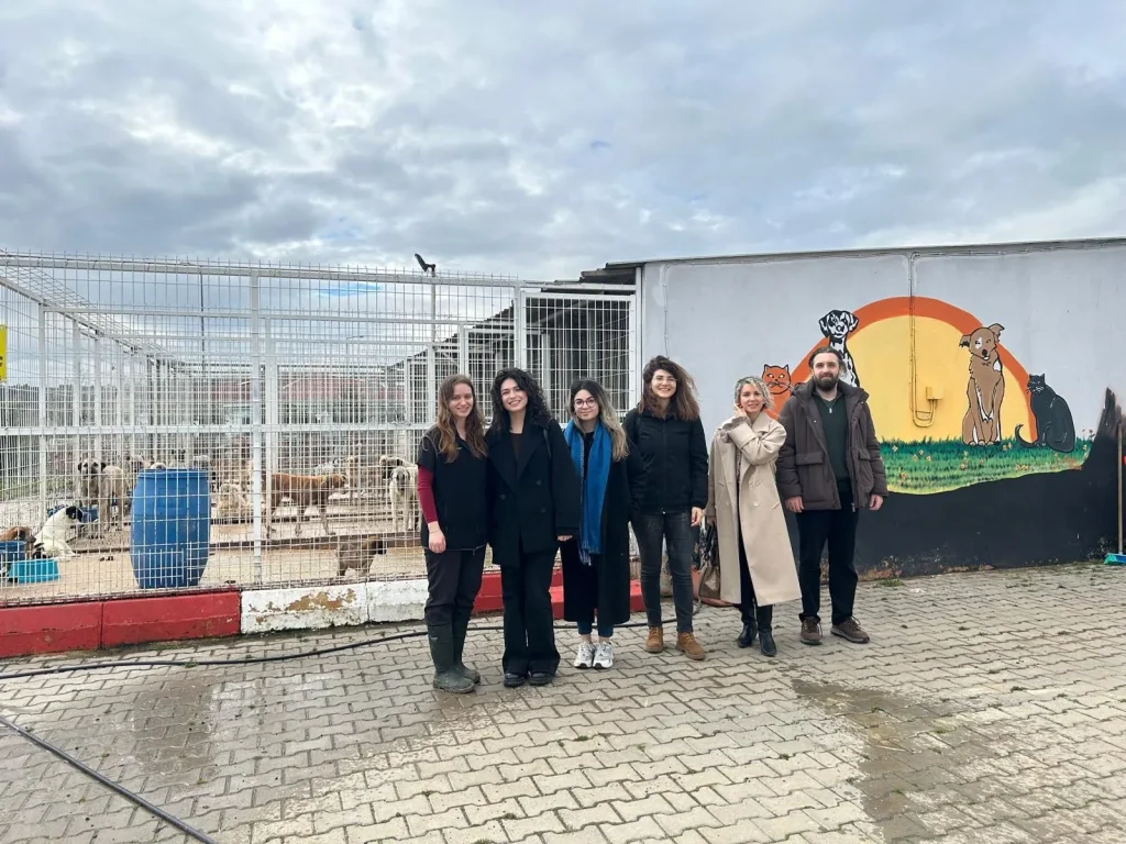 Tekirdağ Barosu sahipsiz hayvanlar için koruma raporu hazırlayacak