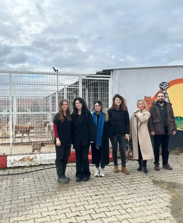 Tekirdağ Barosu sahipsiz hayvanlar için koruma raporu hazırlayacak 2 Tekirdağ Barosu sahipsiz hayvanlar için koruma raporu hazırlayacak