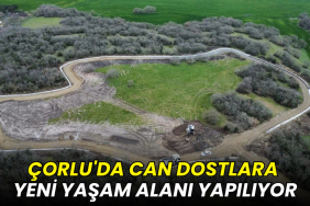 Çorlu'da can dostlara yeni yaşam alanı yapılıyor