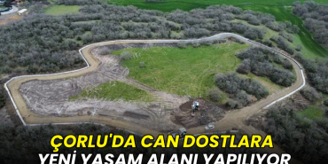 Çorlu'da can dostlara yeni yaşam alanı yapılıyor