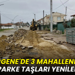 Ergene'de 3 mahallenin kilit parke taşları yenileniyor