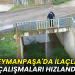 Süleymanpaşa'da ilaçlama çalışmaları hızlandı
