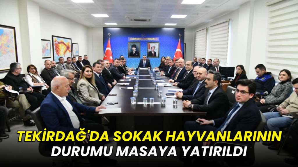 Tekirdağ’da sokak hayvanlarının durumu masaya yatırıldı