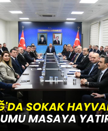 Tekirdağ’da sokak hayvanlarının durumu masaya yatırıldı