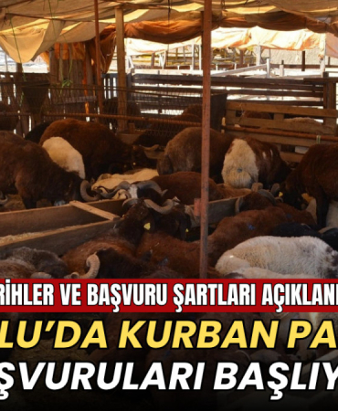Çorlu’da kurban pazarı başvuruları başlıyor: Tarihler ve şartlar açıklandı 4 Tekirdağ haberleri - Çorlu’da kurban pazarı başvuruları başlıyor: Tarihler ve şartlar açıklandı