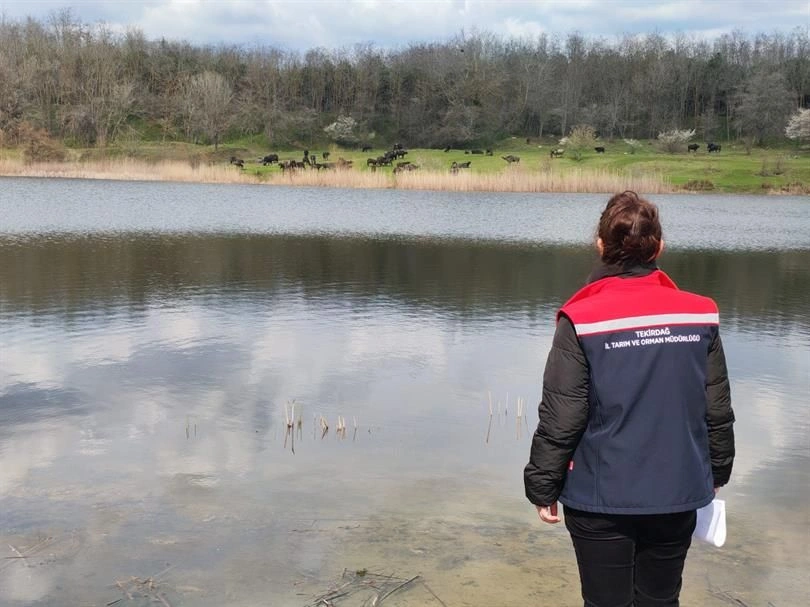 Tekirdağ haberleri - Su ürünlerinde sıkı kontrol: Tekirdağ’da balık denetimleri artırıldı