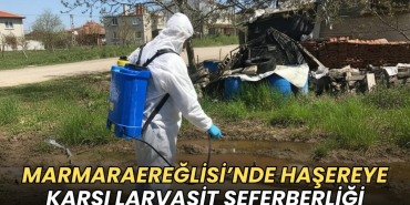 Tekirdağ haberleri - Marmaraereğlisi’nde haşereye karşı larvasit seferberliği