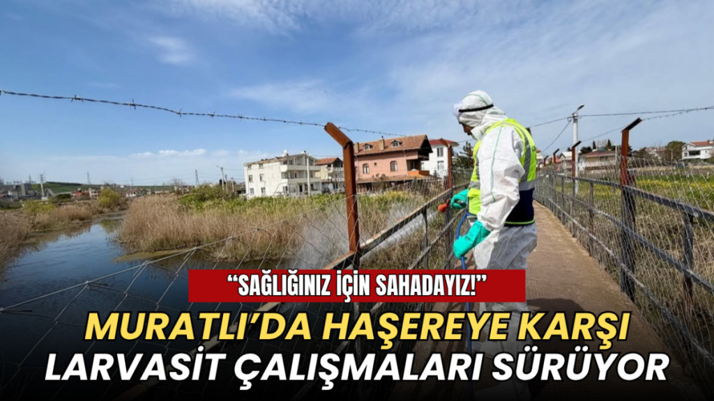 Tekirdağ haberleri - Muratlı’da haşereye karşı larvasit çalışmaları sürüyor