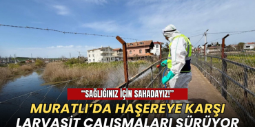 Tekirdağ haberleri - Muratlı’da haşereye karşı larvasit çalışmaları sürüyor