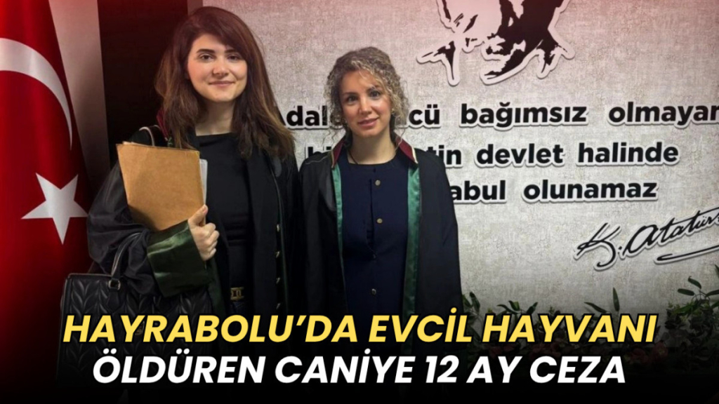Tekirdağ haberleri - Evcil hayvanı öldüren sanığa hapis cezası
