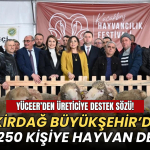 Tekirdağ haberleri - Tekirdağ Büyükşehir Belediyesi'nin Malkara’da düzenlenen Küçükbaş Hayvancılık Festivali’nden görüntüler