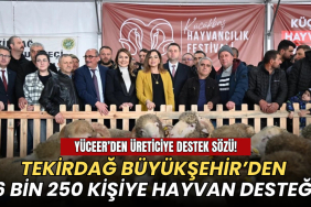 Tekirdağ haberleri - Tekirdağ Büyükşehir Belediyesi'nin Malkara’da düzenlenen Küçükbaş Hayvancılık Festivali’nden görüntüler