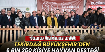 Tekirdağ haberleri - Tekirdağ Büyükşehir Belediyesi'nin Malkara’da düzenlenen Küçükbaş Hayvancılık Festivali’nden görüntüler