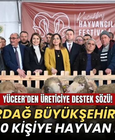 Tekirdağ haberleri - Tekirdağ Büyükşehir Belediyesi'nin Malkara’da düzenlenen Küçükbaş Hayvancılık Festivali’nden görüntüler