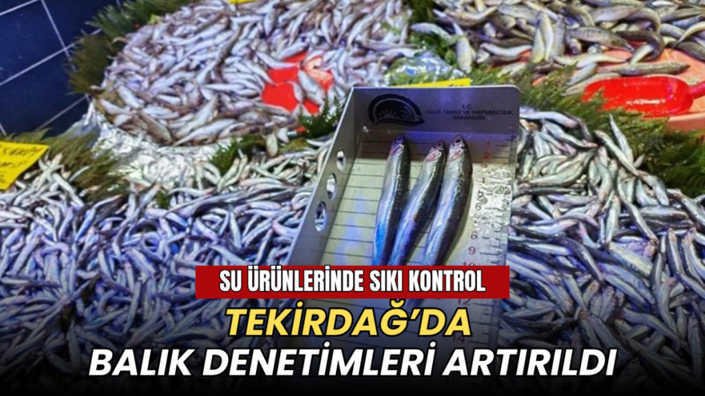 Tekirdağ haberleri - Su ürünlerinde sıkı kontrol: Tekirdağ’da balık denetimleri artırıldı