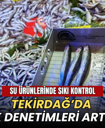 Su ürünlerinde sıkı kontrol: Tekirdağ’da balık denetimleri artırıldı: 4 Tekirdağ haberleri - Su ürünlerinde sıkı kontrol: Tekirdağ’da balık denetimleri artırıldı