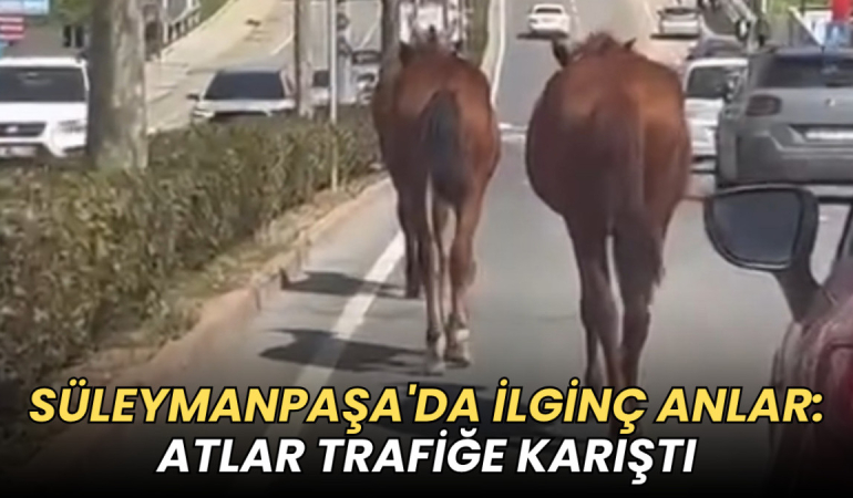 Tekirdağ haberleri - Süleymanpaşa'da ilginç anlar: Atlar trafiğe karıştı