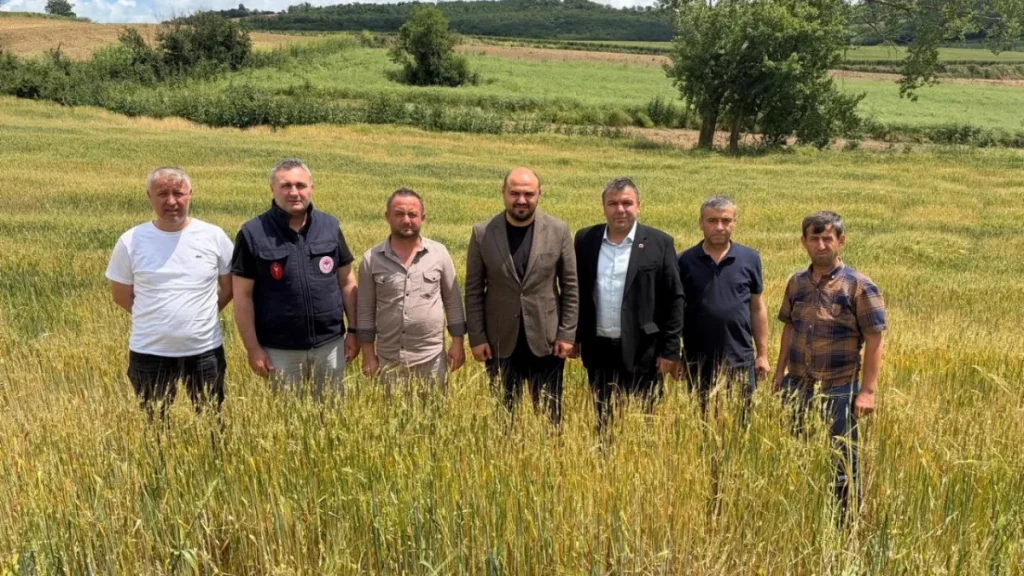 Tekirdağ haberleri - AK Partili Mandacı duyurdu: Süleymanpaşa’da yağmurdan etkilenen çiftçiler için destek süreci başlatıldı