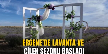 Ergene haberleri - Ergene’de lavanta ve çilek sezonu başladı