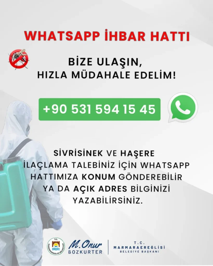 Marmaraereğlisi'nde haşere şikayetleri artık WhatsApp’tan iletilecek 4 Marmaraereğlisi haberleri - Marmaraereğlisi'nde haşere şikayetleri artık WhatsApp’tan iletilecek