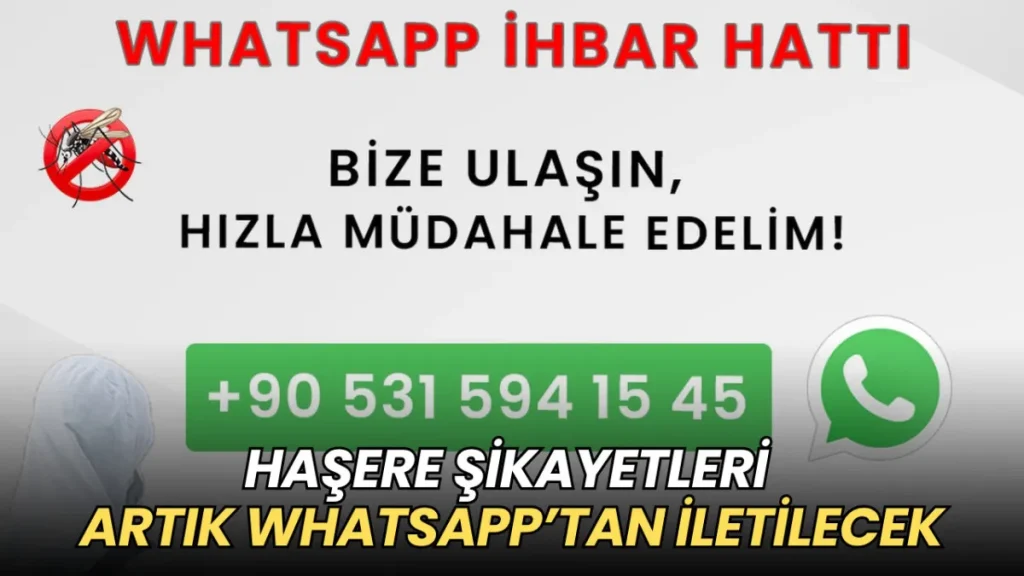 Marmaraereğlisi haberleri - Marmaraereğlisi'nde haşere şikayetleri artık WhatsApp’tan iletilecek