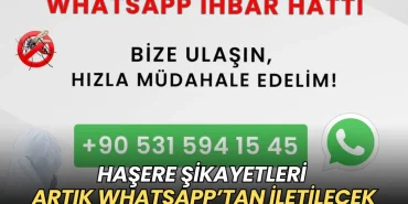Marmaraereğlisi haberleri - Marmaraereğlisi'nde haşere şikayetleri artık WhatsApp’tan iletilecek