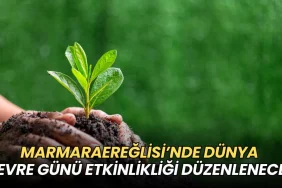 Marmaraereğlisi’nde Dünya Çevre Günü şenliği düzenlenecek 9 Tekirdağ haberleri - Marmaraereğlisi’nde Dünya Çevre Günü şenliği düzenlenecek