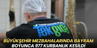 Tekirdağ haberleri - Tekirdağ Büyükşehir mezbahalarında Kurban Bayramı boyunca 977 kurbanlık kesildi