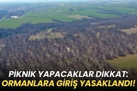 Piknik yapacaklar dikkat: Çerkezköy'de ormanlara giriş yasaklandı! 8 Çerkezköy haberleri - Piknik yapacaklar dikkat: Çerkezköy'de ormanlara giriş yasaklandı!