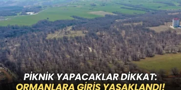 Piknik yapacaklar dikkat: Çerkezköy'de ormanlara giriş yasaklandı! 13 Çerkezköy haberleri - Piknik yapacaklar dikkat: Çerkezköy'de ormanlara giriş yasaklandı!
