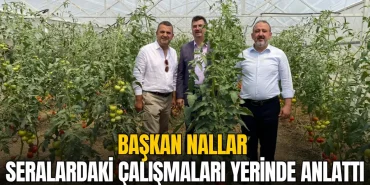 Süleymanpaşa haberleri - Volkan Nallar seralardaki çalışmaları yerinde anlattı