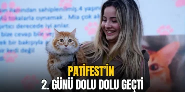 Çorlu'da Patifest'in ikinci günü dolu dolu geçti 19 Çorlu'da Patifest'in ikinci günü dolu dolu geçti