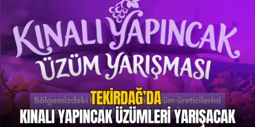 Tekirdağ'da kınalı yapıncak üzümleri yarışıyor: Başvurular 22 Eylül'de sona eriyor 20 Kınalı yapıncak üzümleri yarışıyor: Başvurular 22 Eylül'de sona eriyor