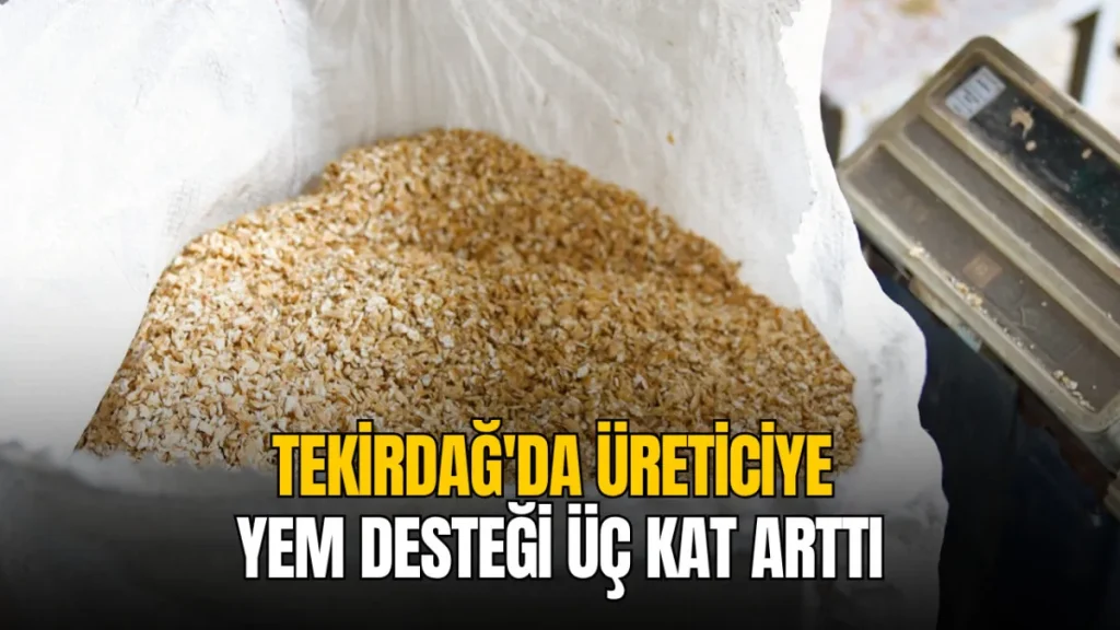 Tekirdağ haberleri - Tekirdağ'da üreticiye yem desteği üç kat arttı